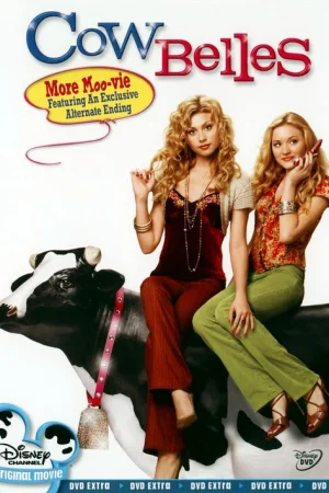 Cow Belles