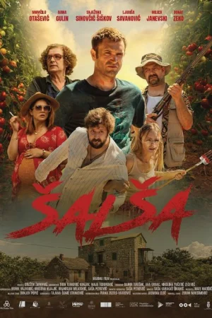 Salsa