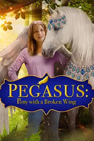Pegasus: Pony with a Broken Wing