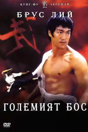 Tang shan da xiong / The Big Boss